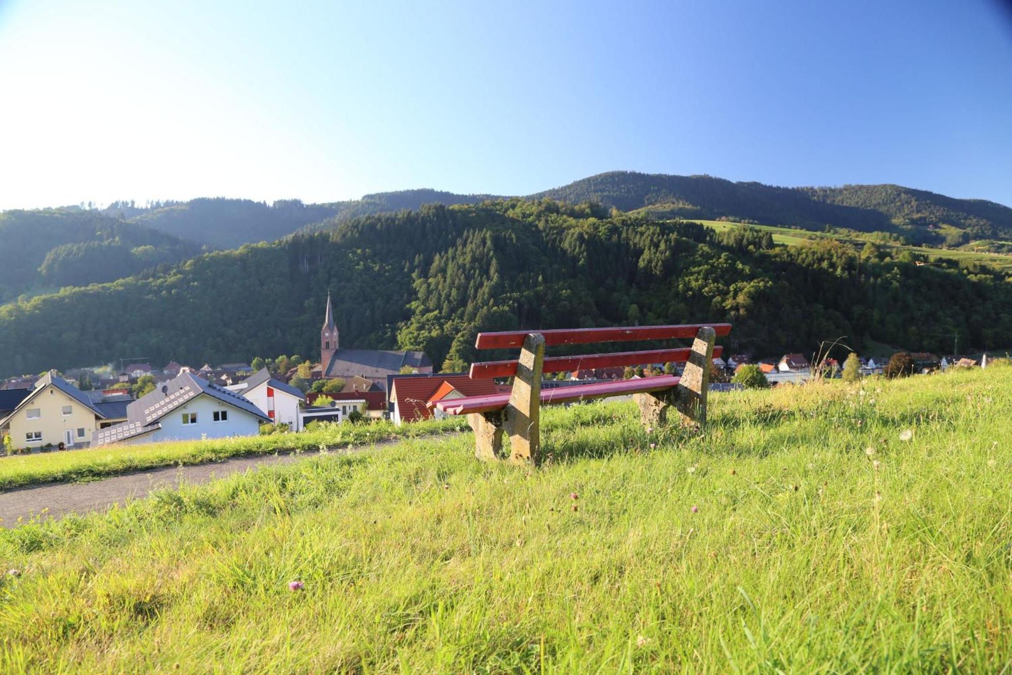 Appartement Schwarzwaldstuble Oberharmersbach Exterior foto